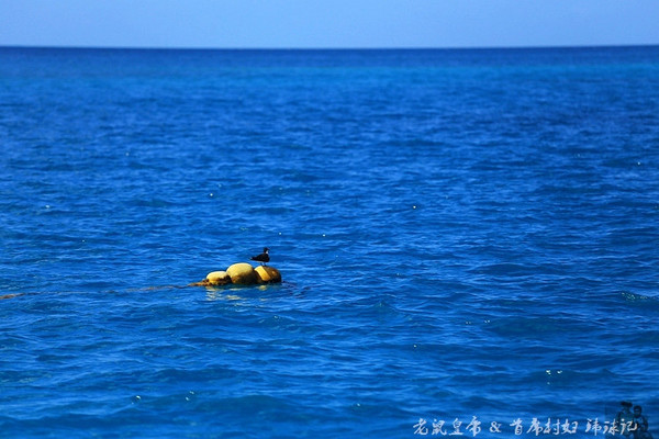 彩虹王国美术作品,彩虹王国紫色