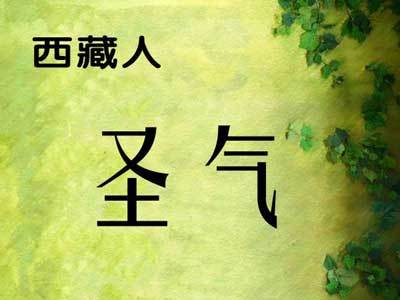 甘肃人的性格有什么优缺点,全国各省人的气质