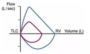 答案在一呼一吸间|一页手册·协和八