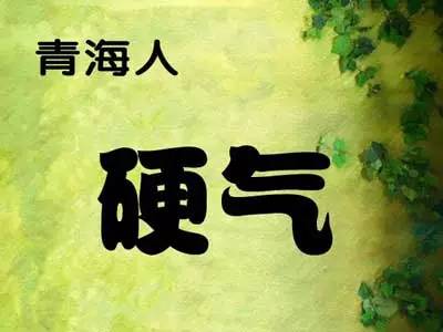 甘肃人的性格有什么优缺点,全国各省人的气质
