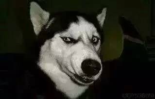 教你如何有逼格地秀恩爱，单身狗都哭了！