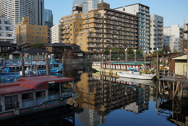 索尼rx1r2可以拍什么,rx1画质