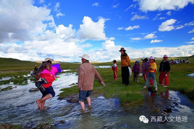 草原的风草原的雨草原的羊群歌谱,卓玛的羊群
