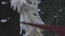 八六版的西游记无法超越的经典,30秒让你看完西游记