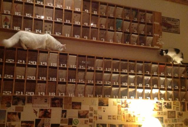 西安有没有浪漫的地方啊,西安适合情侣去的好去处