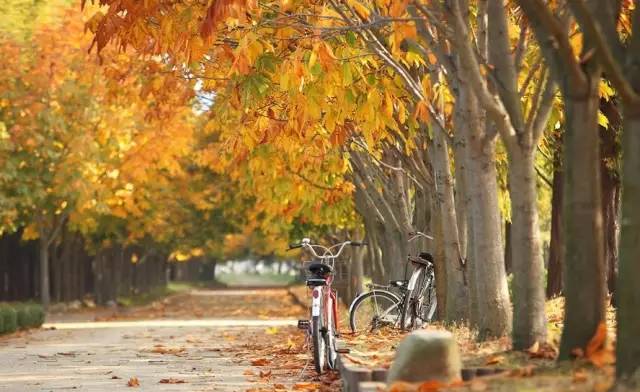 过去与现在的遇见,过去与未来的邂逅