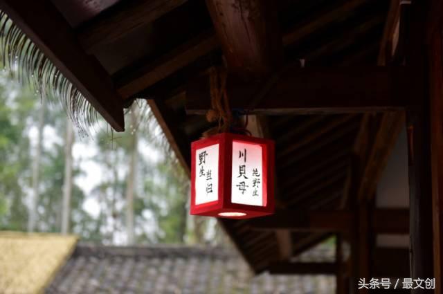 成都真的是个幸福感爆棚的城市,成都真的是一座幸福感爆棚的城市