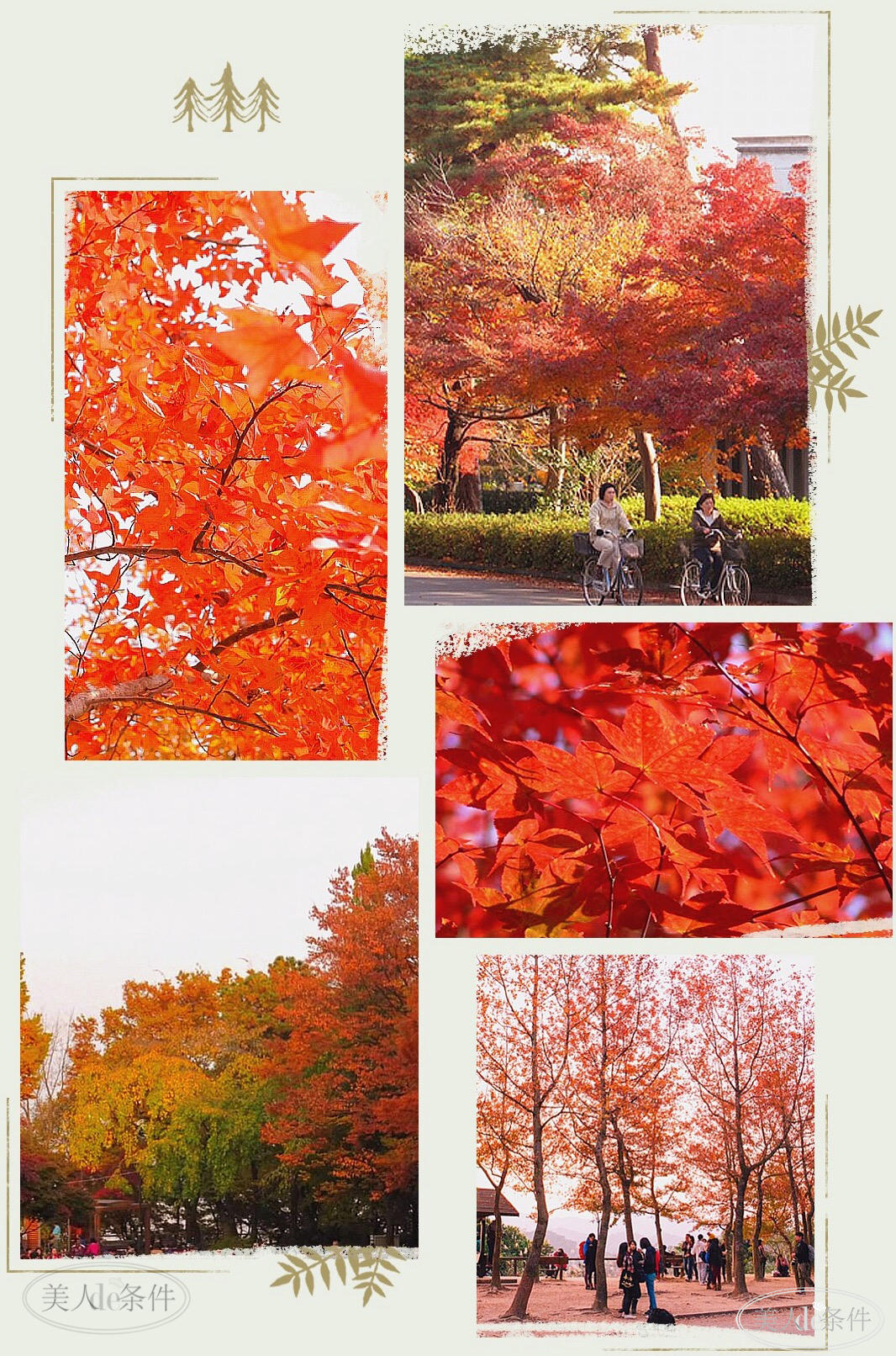 美酱周报｜虽说秋意浓，更要秋意暖！