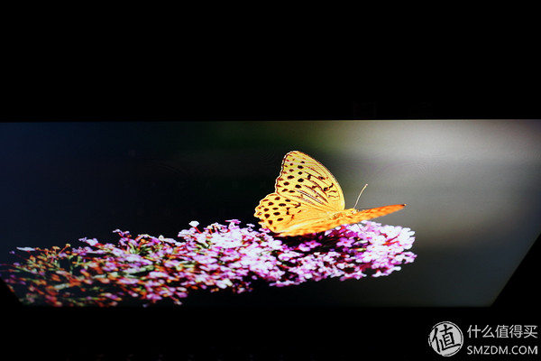 lgdisplaynanoips面板,联想yoga710什么尺寸