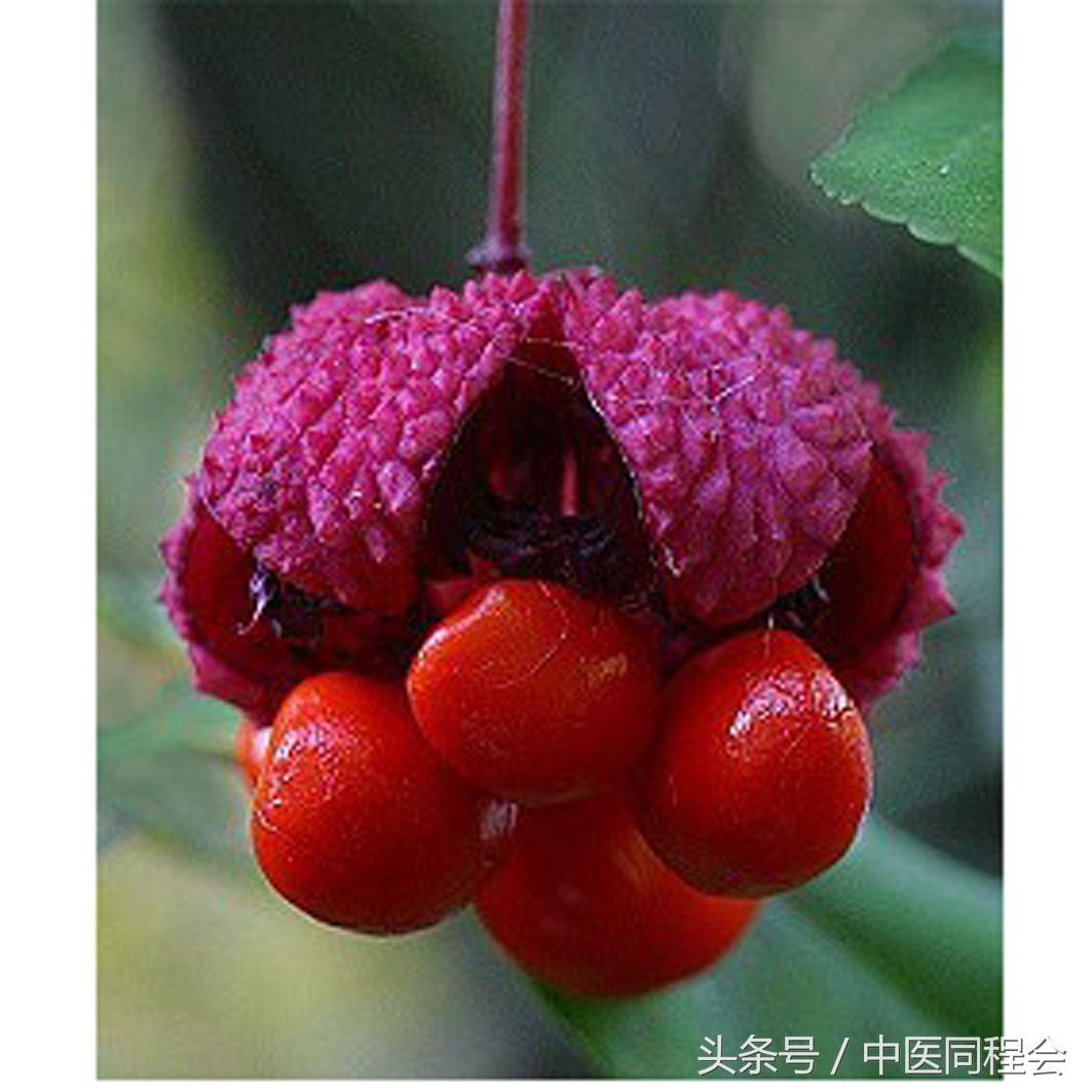 万圣节|看中医怎么与“鬼”混