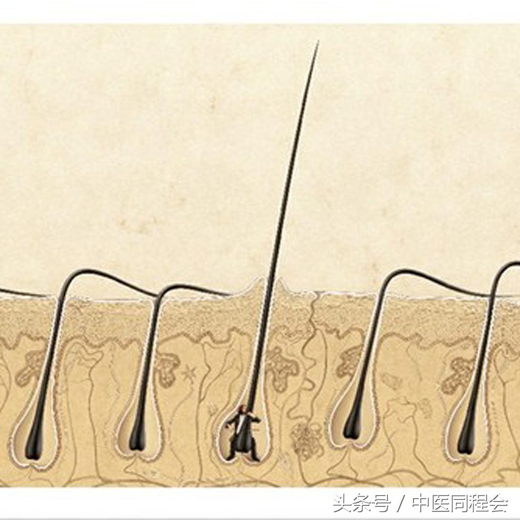 万圣节|看中医怎么与“鬼”混