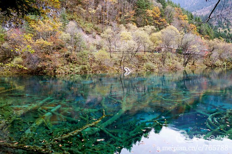 九寨沟让人失语的美丽童话世界,九寨沟有没有童话世界的景点