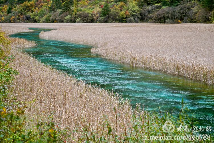九寨沟让人失语的美丽童话世界,九寨沟有没有童话世界的景点
