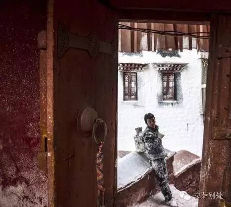 布达拉宫粉墙时间,布达拉宫一年一度的刷墙日