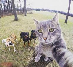 如何在最短的时间迁移360云盘数据?小编有妙招