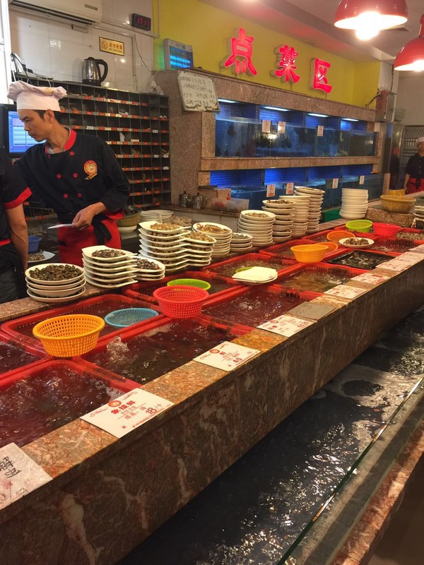 两大两小的厦门四日游