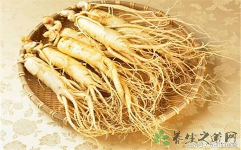 关于人参的简介资料,人参术语大全及讲解