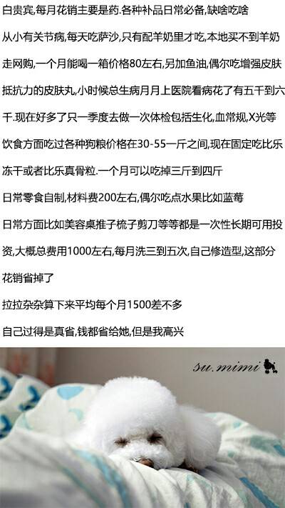 56个中美铲屎官每月花费,对,我就是这么变穷的