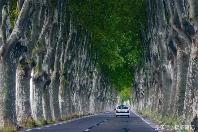 10月摄影笔记照片点评合集