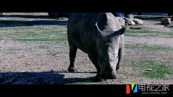 海美迪h7四代能投屏吗,海美迪h7三代四代画质区别