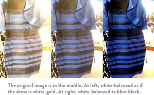 蓝黑和白金谁是色弱,蓝黑和白金