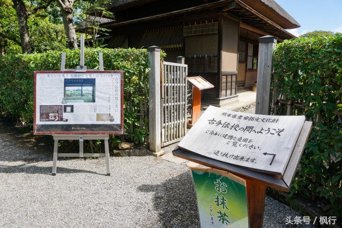 酷ma萌陪伴机器人熊本熊,酷ma萌和熊本熊