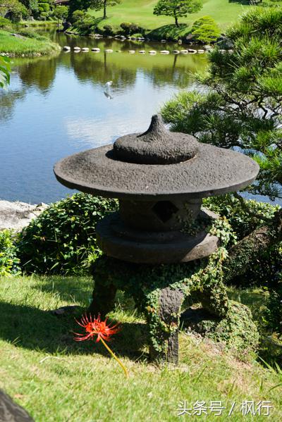 酷ma萌陪伴机器人熊本熊,酷ma萌和熊本熊