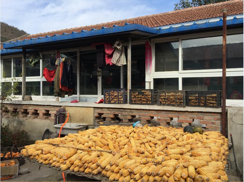 北京民宿小院整租,租北京小院