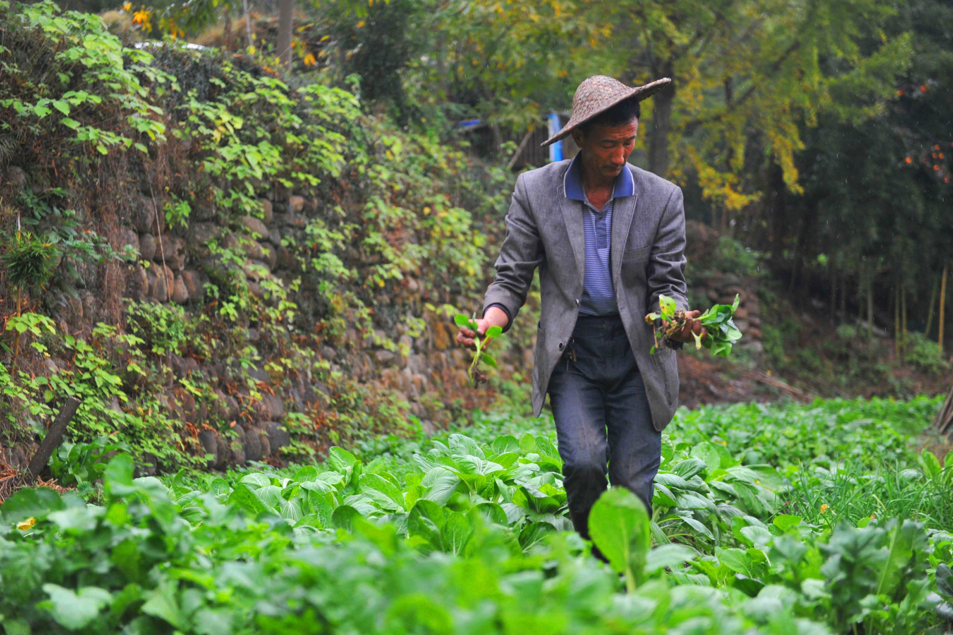 农民开网店一年赚千万