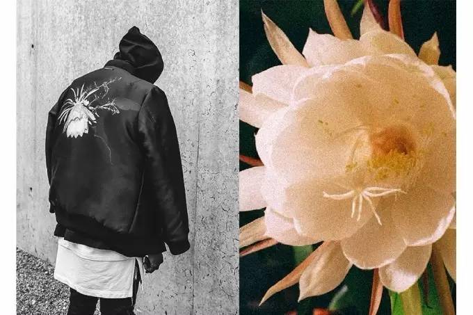 余文乐怎么选,余文乐品牌怎么读