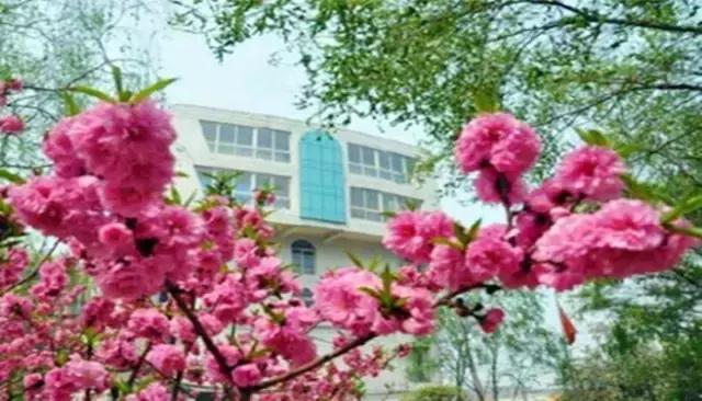 太原市志达中学小升初录取名单,2017年太原志达小升初