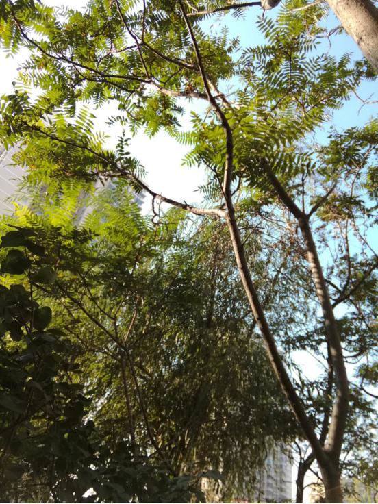 华为平板m3上手视频,华为平板m3开箱视频