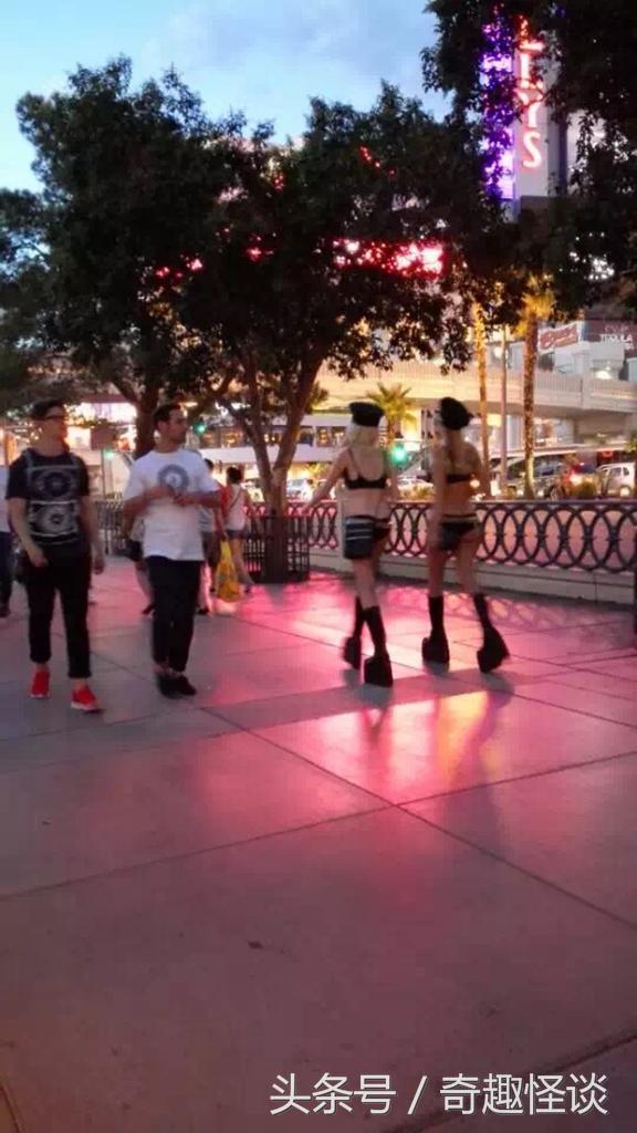 在美国旅游日常,在美国旅游攻略大全最新