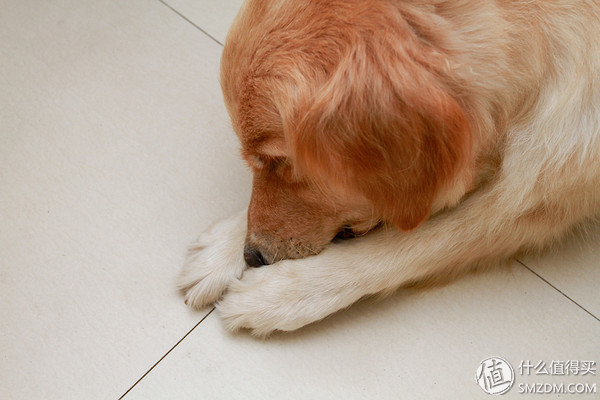 备孕婚前体验,备孕亲身经历和感受