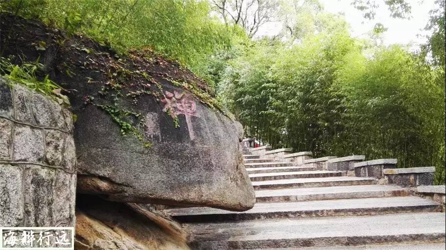 自驾游从青岛怎么走崂山沿海公路,青岛崂山哪个路线最短最好玩