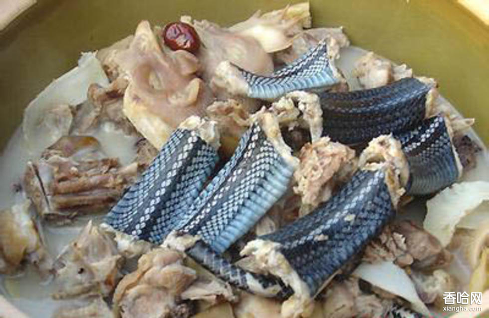 去梧州该吃什么？