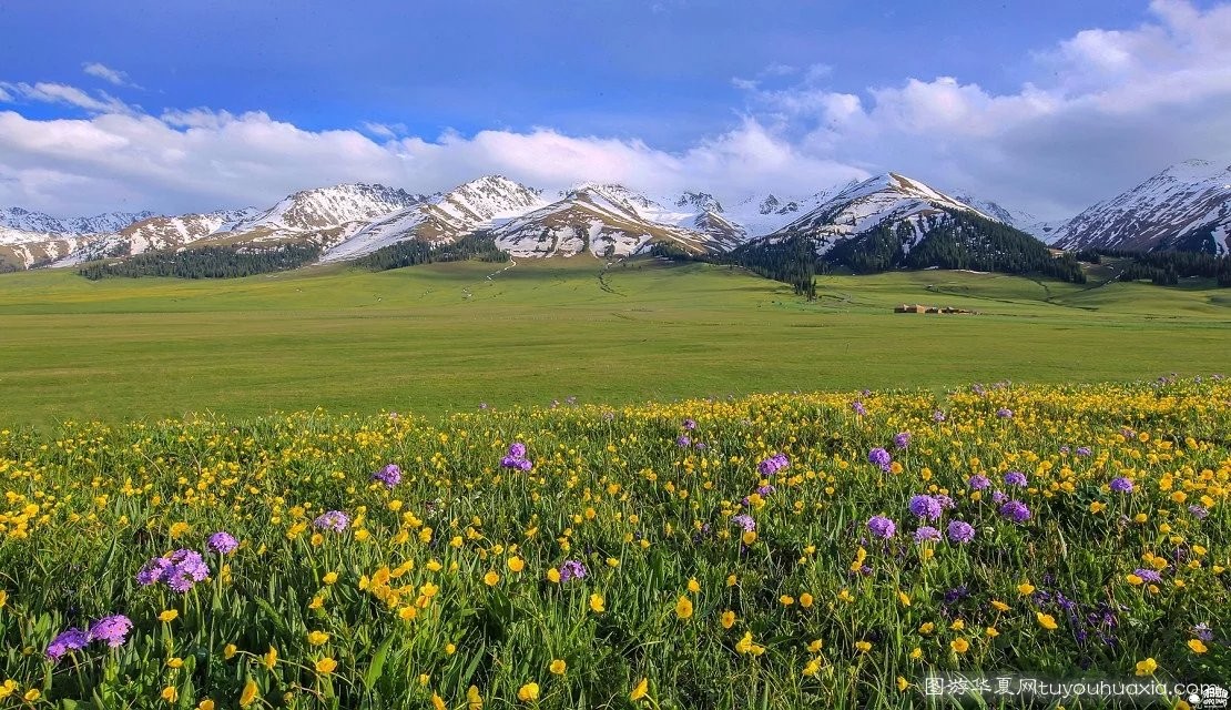 14张照片那拉提草原风景区 (美丽的那拉提草原真实图片)
