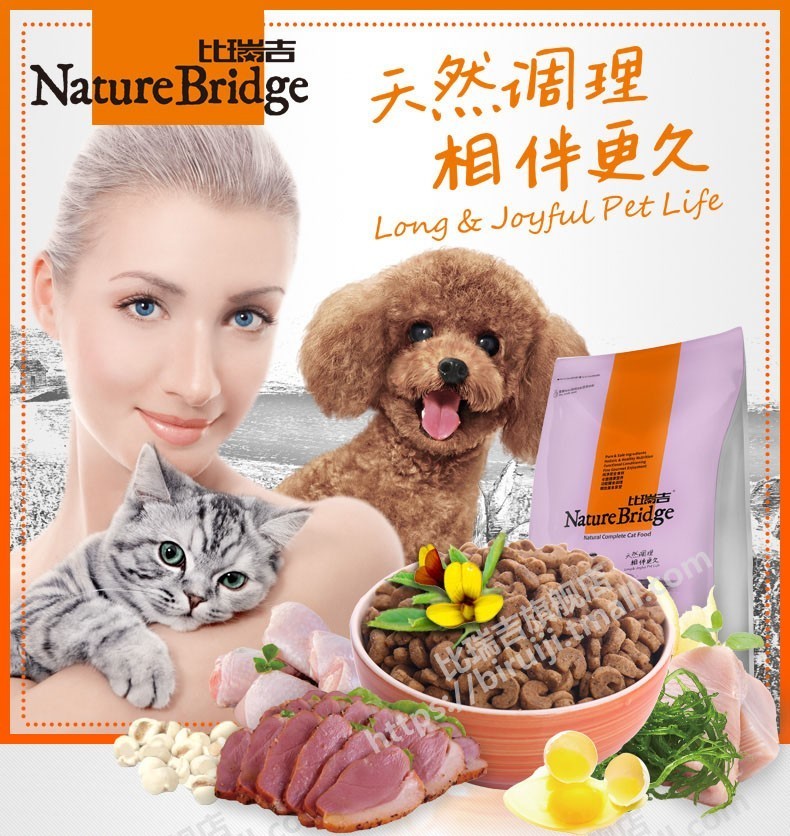猫咪适合吃什么猫粮,猫粮品种推荐图片