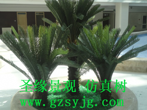 仿真苏铁树,苏铁树的介绍和特点是什么