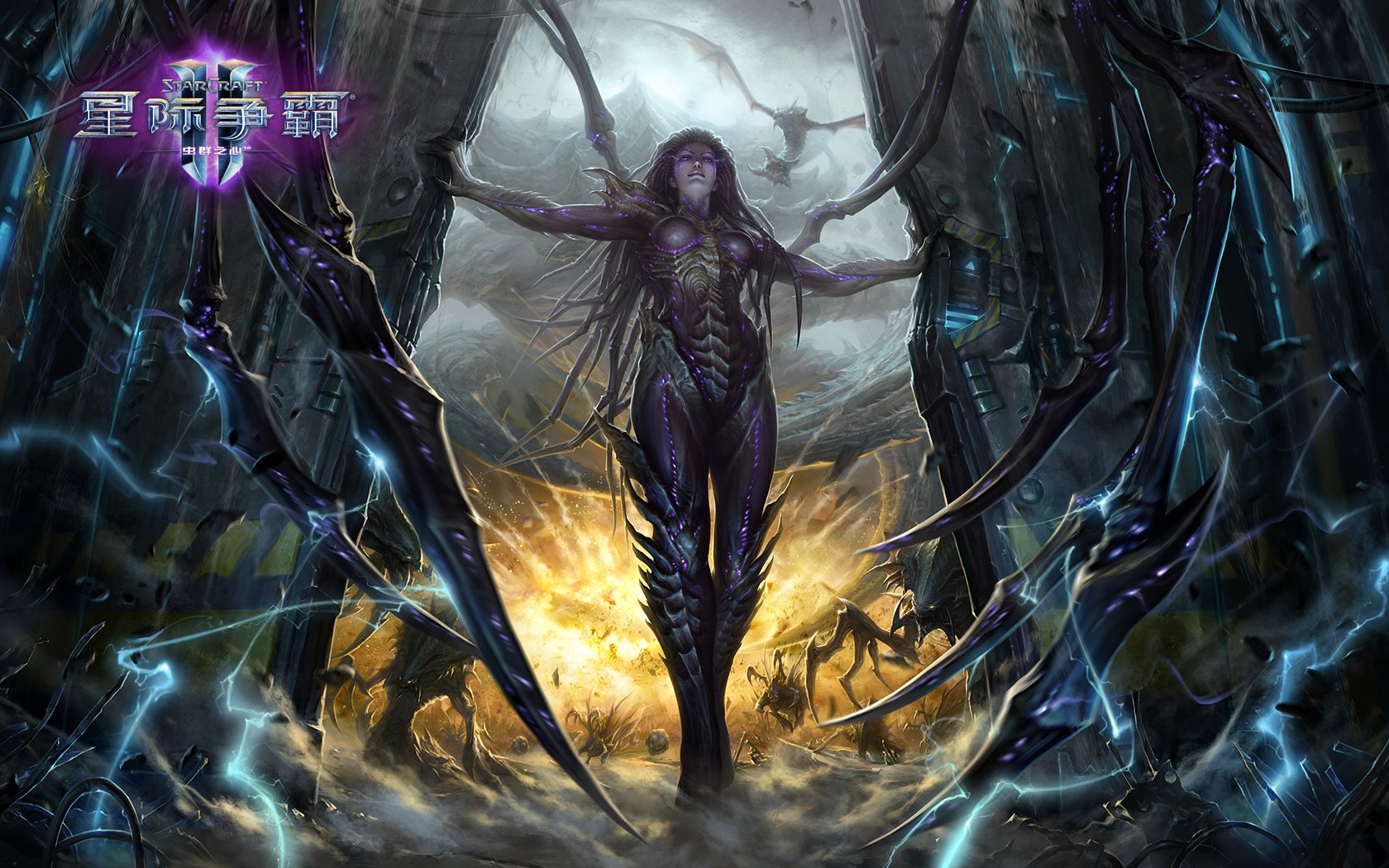 刀锋女王凯瑞甘的前世今生，身逢乱世，何以为情！