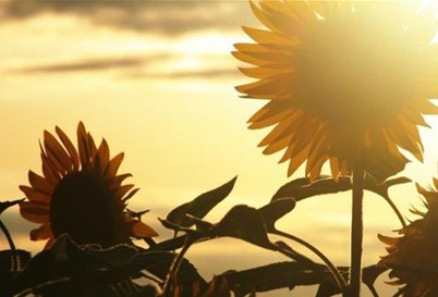 念念有声，我的世界你来过