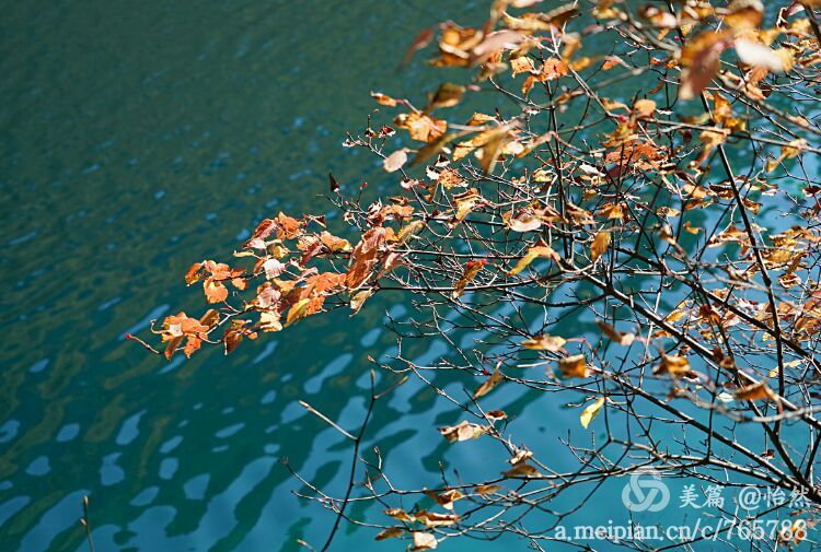 九寨沟让人失语的美丽童话世界,九寨沟有没有童话世界的景点