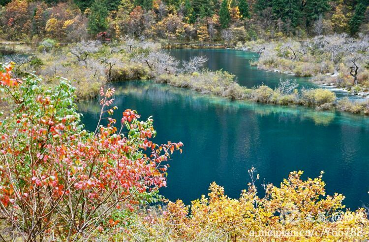 九寨沟让人失语的美丽童话世界,九寨沟有没有童话世界的景点