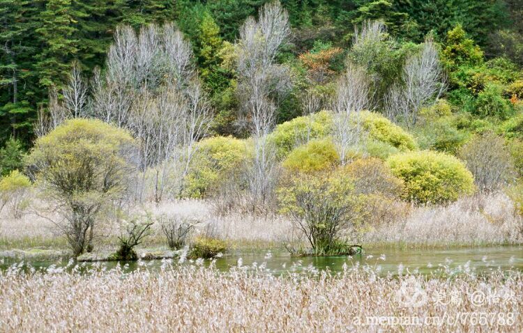 九寨沟让人失语的美丽童话世界,九寨沟有没有童话世界的景点