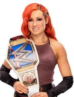 wwe十大女将秒杀巨人男选手,wwe女选手名单最新