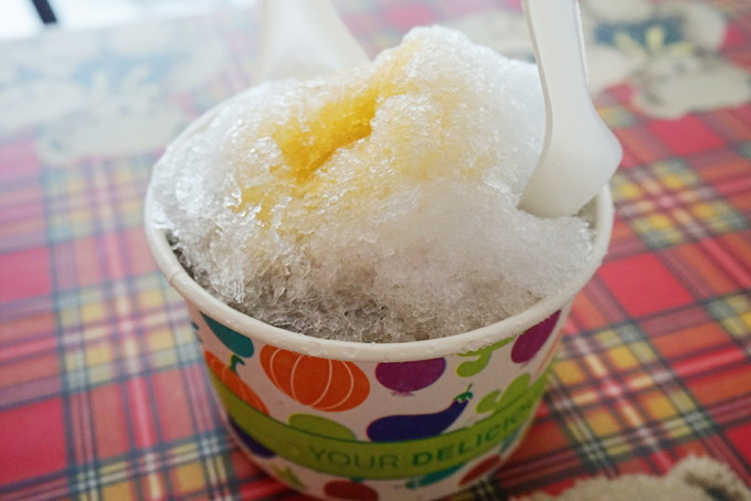 被遗忘的岛,金门被时光遗忘的岛乡