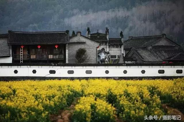 10月摄影笔记照片点评合集