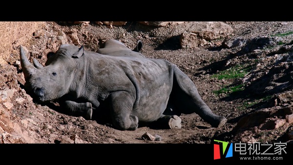 海美迪h7四代能投屏吗,海美迪h7三代四代画质区别