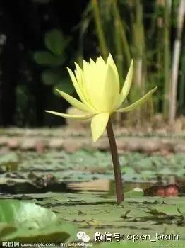 中国风水传说100篇,从地理学了解中国