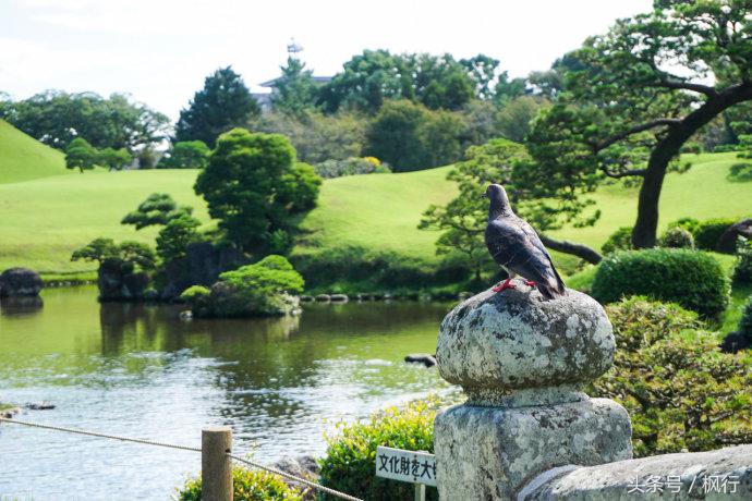 酷ma萌陪伴机器人熊本熊,酷ma萌和熊本熊